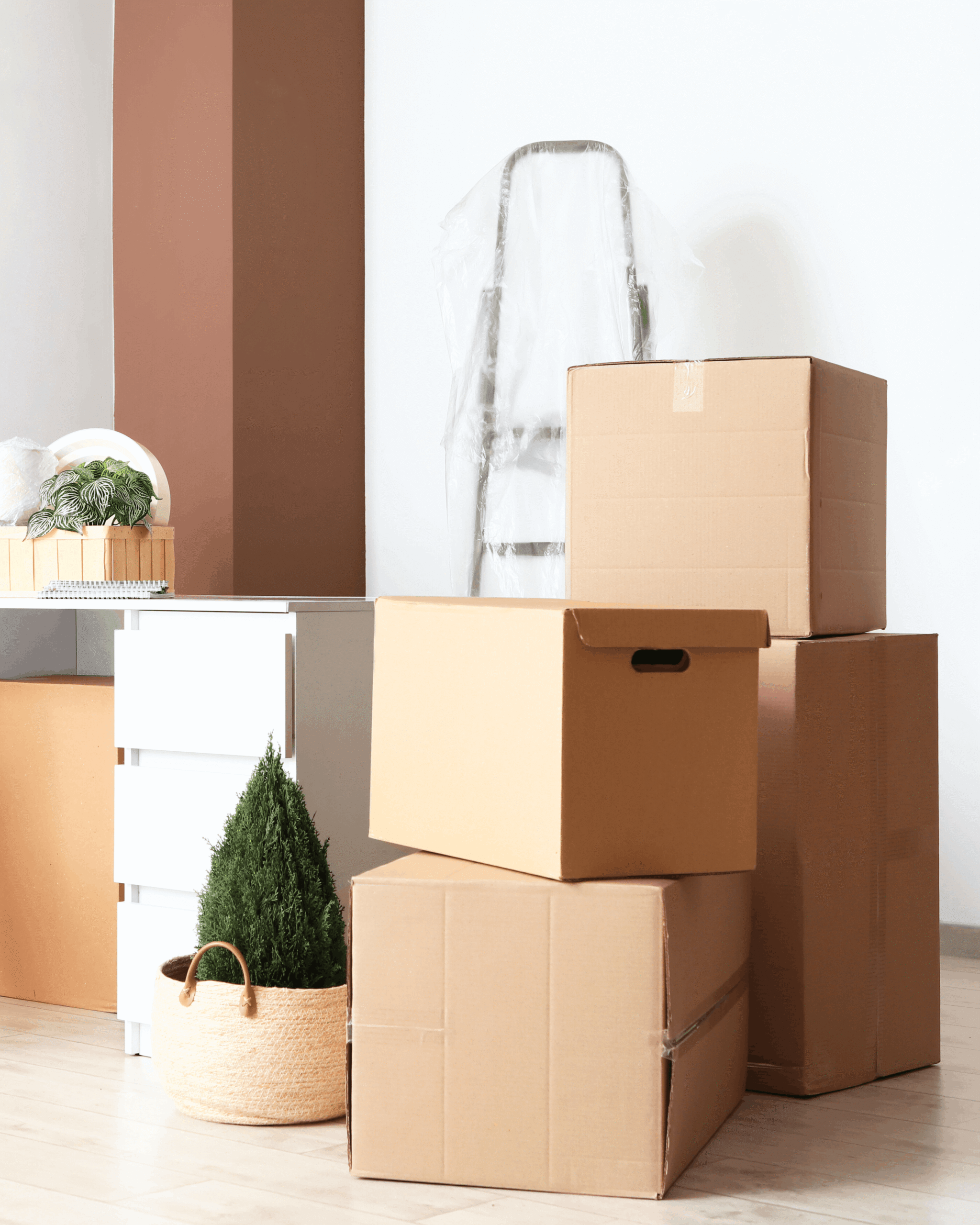 Move-in and move-out cleaning service